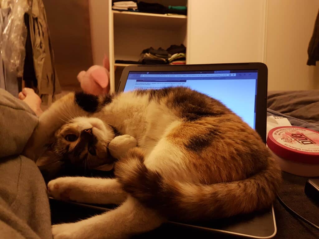 Katja på pc