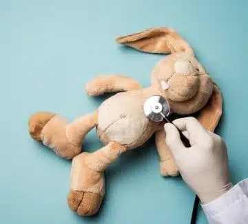 Tøjkanin Shutterstock